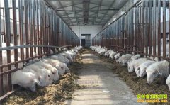 ����������ѧ����������ҵ��������ࡰ������ѭ��ũҵͼ