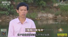 [�¸���]�����Ͳ�����ա����������귢���