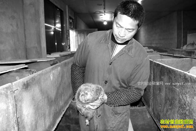 ������ɽ���޽�������3��ֻ��ʧ��1ֻ��׬ʮ����