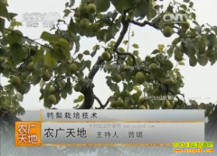 [ũ�����]Ѽ����ֲ������Ƶ