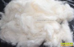 2018��7��4�ս��ա�ɽ����ë�۸�����