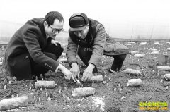 ��Ǿ��ۼ۸�Ч��� ������Ǿ���ֲ�����ǹؼ�