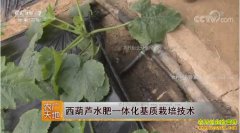 [ũ�����]����«ˮ��һ�廯�������༼��