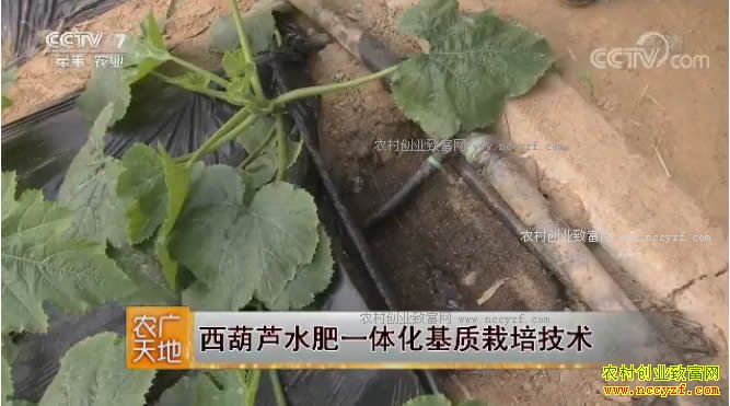 [ũ�����]����«ˮ��һ�廯�������༼�� 20180323