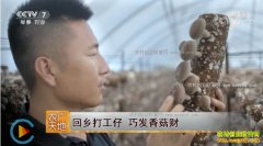 [ũ�����]�ӱ�ƽȪ����������紴ҵ��ֲ�㹽�ɷ���