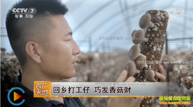 [ũ�����]�ӱ�ƽȪ����������紴ҵ��ֲ�㹽�ɷ���