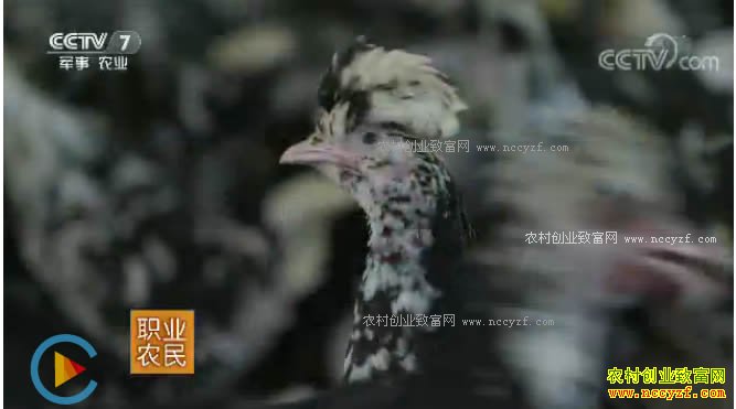 [ũ�����]�㶫������ѧ�����ı�˼·���������¸�����