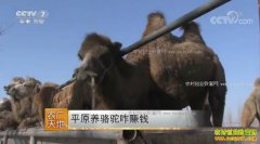 [ũ�����]�ӱ���ɽ֣����ƽԭ������զ׬Ǯ