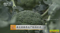 [ũ�����]�໨�˴����߲����༼����Ƶ