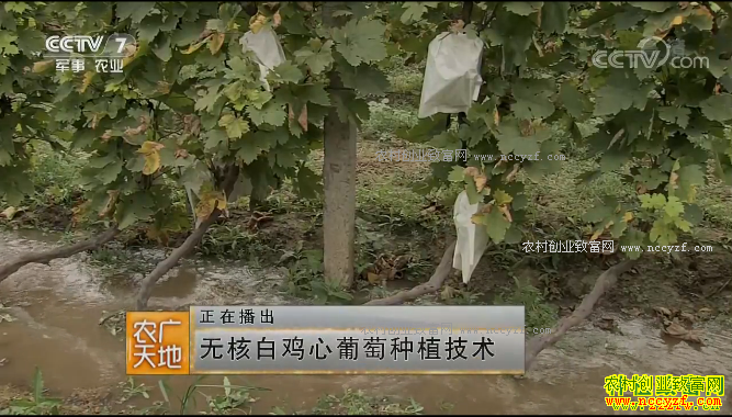 [ũ�����]�޺˰׼���������ֲ���� 20180329