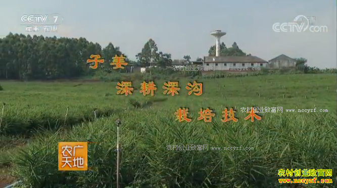 [ũ�����]�ӽ��������༼�� 20180328