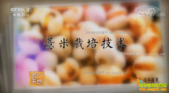 [ũ�����]޲�����༼����Ƶ