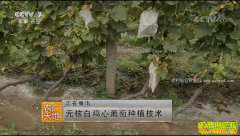 [ũ�����]�ӽ��������༼����Ƶ