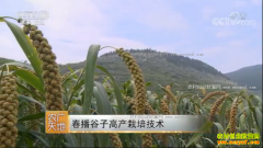 [ũ�����]�������Ӹ߲����༼����Ƶ