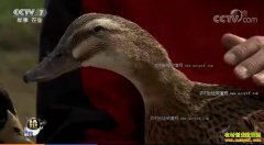 [ÿ��ũ��]�Ĵ��㰲����ֳ���о�����Ѽ����׬Ǯ