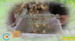 [ũ�����]��������������������������