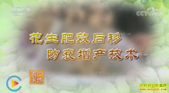 [ũ�����]������Ч���Ʒ�˥��������