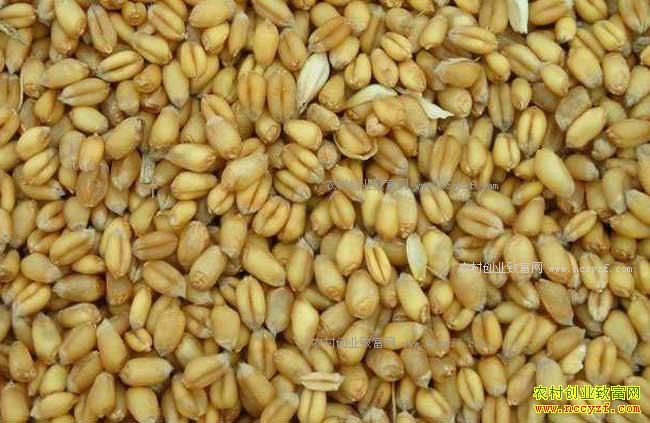 С��۸�򽫼�����������