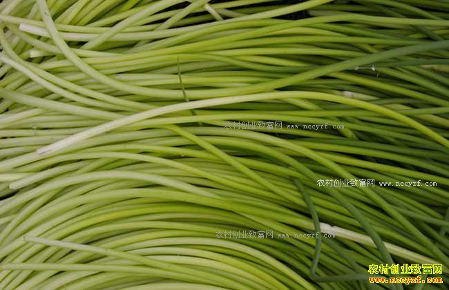 �Ϸ���޷½������ �Ĵ���޷���������¼۸���