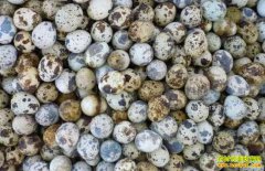 2018��4��16��ȫ�����ȵ��۸����м�������