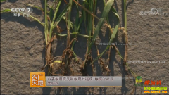 [ũ�����]С��������ķ��η���