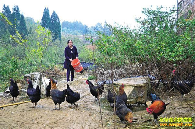 �����뽭����������ֳ�̿ǵ��� ��������Ӧ��