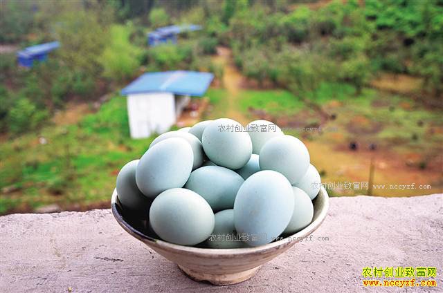 �����뽭����������ֳ�̿ǵ��� ��������Ӧ��