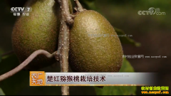 [ũ�����]����⨺������༼����Ƶ