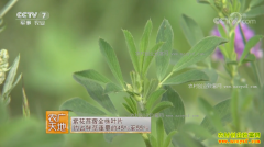 [ũ�����]�����ϻ���ޣ��ֲ������Ƶ