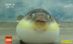 [�Ƽ�Է]���պ������������������ú����ֵǮ�Ĵ���