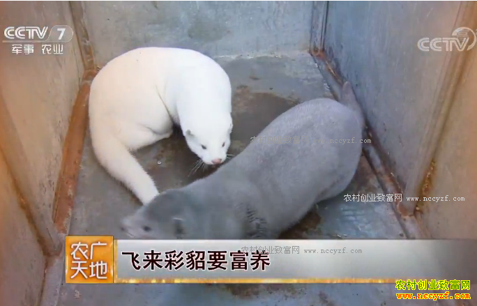 [ũ�����]��������Ҫ���� ����������־����ˮ��׬ǧ��