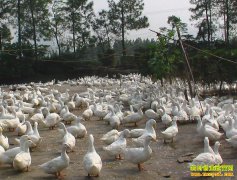 �����쳤��ѧ���������û�̲��Դ���紴ҵ������Ѽ