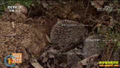 [ÿ��ũ��]��������������ֳ��⬡����ɶ���׬Ǯ�е�