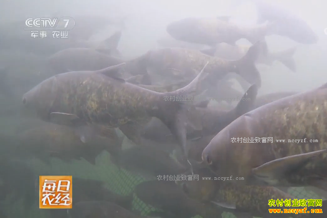 [ÿ��ũ��]ɽ��ˮ��Ѱ����ͷ�� 20180316