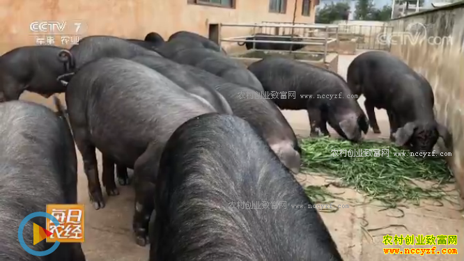 [ÿ��ũ��]������ �Ĵ������ɻ�������ת��