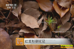 [ũ�����]�춹ɼ�˹����༼����Ƶ