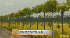 [ũ�����]�л���Ҷ�����༼����Ƶ