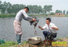 С��Ϻ�г��� ר�ҽ�����ֳС��ϺҪ�ܿط���