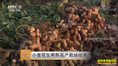 [ũ�����]С��������߲���ֲ������Ƶ