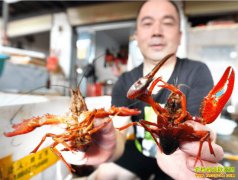 ��С��Ϻ��ս��һ������ ����ɫ�ž��������