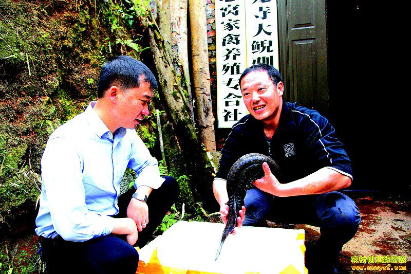 �Ĵ������޵Ǿ�����������ֳ������һ������80��Ԫ