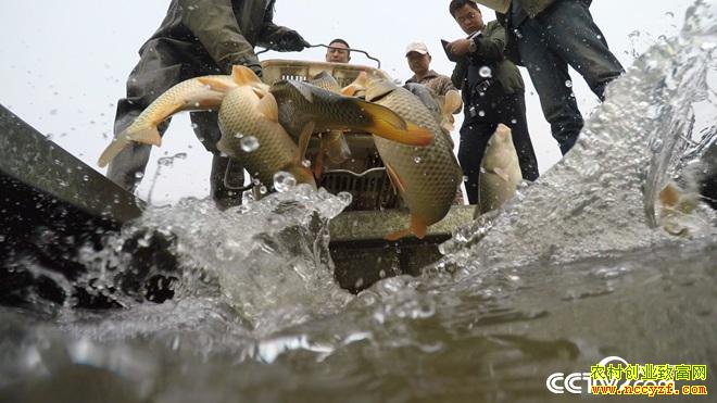 �¸����������������������Ϸ�������������4000��Ԫ