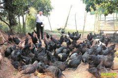 �Ĵ������������в�ҩ���ڼ�һ�괿׬30��Ԫ