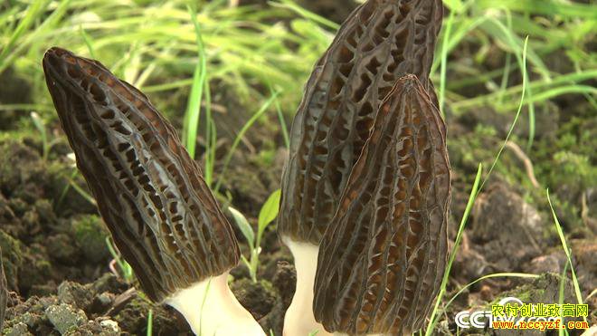 [�¸���]����ũ����������ֲ��Ǿ��Ӿ�������������ǧ��