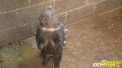 [�¸���]����������˶ʿŮ������Ⱥ������һ����500��Ԫ