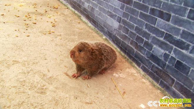 [�¸���]������Դ�ؽ����������һ������100Ԫ