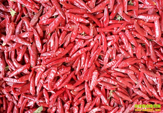 ��Դ��Ӧ���� �����۸������̬��