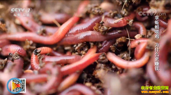 [�Ƽ�Է]����ţ�� ��׬���� 20180509