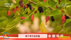 [�Ƽ�Է]ɣ�غóԿ�����