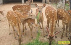 ����������������¹˾�·Т�ɵ�÷��¹��ֳ�¸���